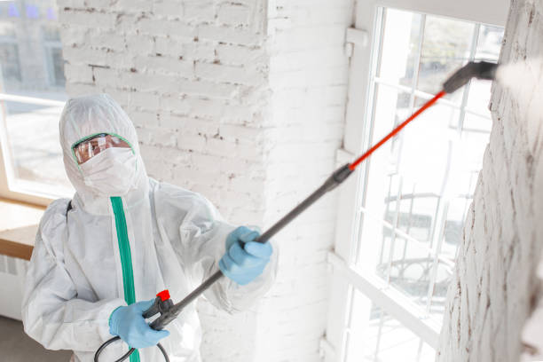 Best HVAC Mold Inspection and Cleaning  in St Leo, FL
