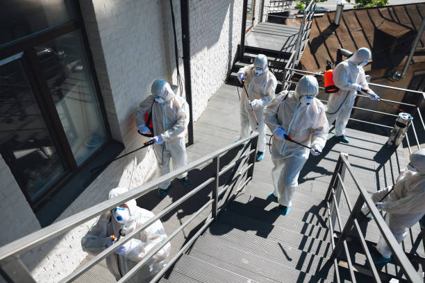 Best Airborne Mold Testing  in St Leo, FL