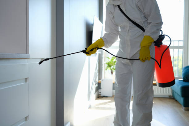 Best Air Quality Testing for Mold Spores  in St Leo, FL